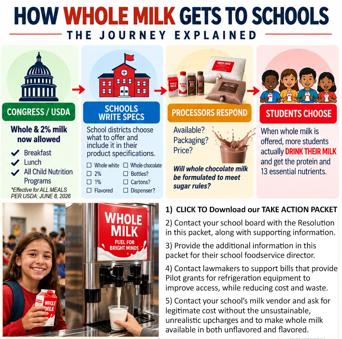 Infographic showing how whole milk gets to schools: Congress and USDA allow whole and 2% milk, schools write specifications, processors respond, and students choose milk they will drink