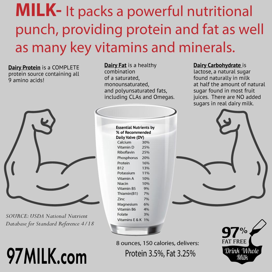 Stop Worrying About Whole Milk: Nutrition Facts You Need to Know